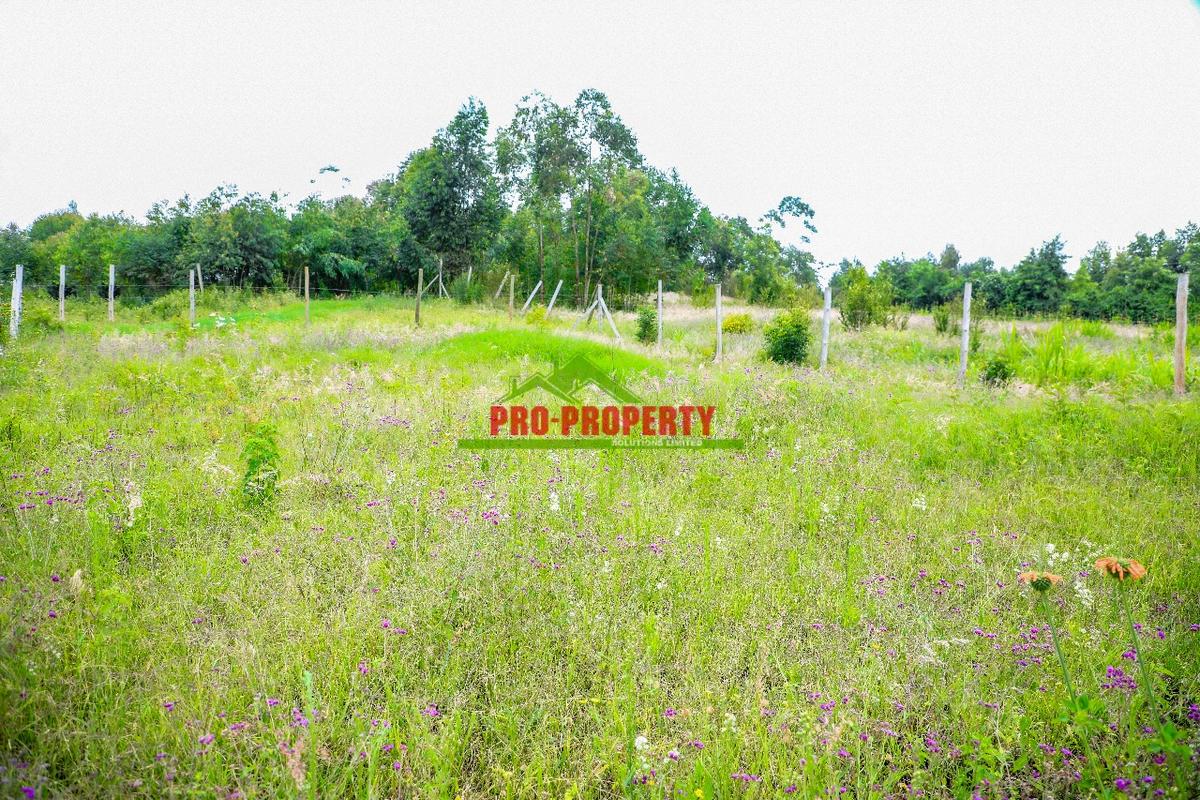 0.05 ha Residential Land at Lusigetti - 6