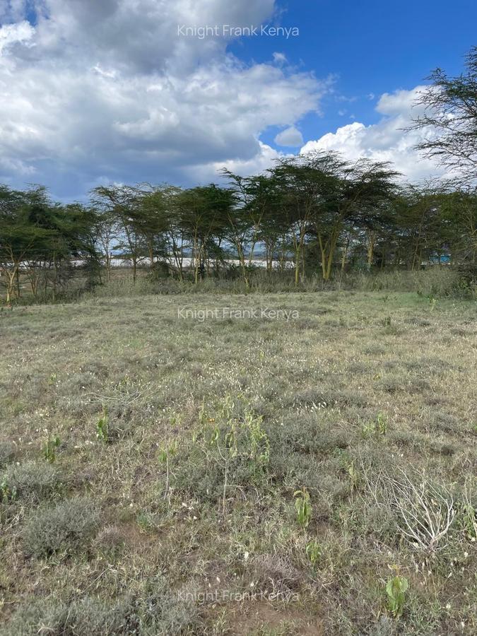 139 ac Land in Naivasha - 3
