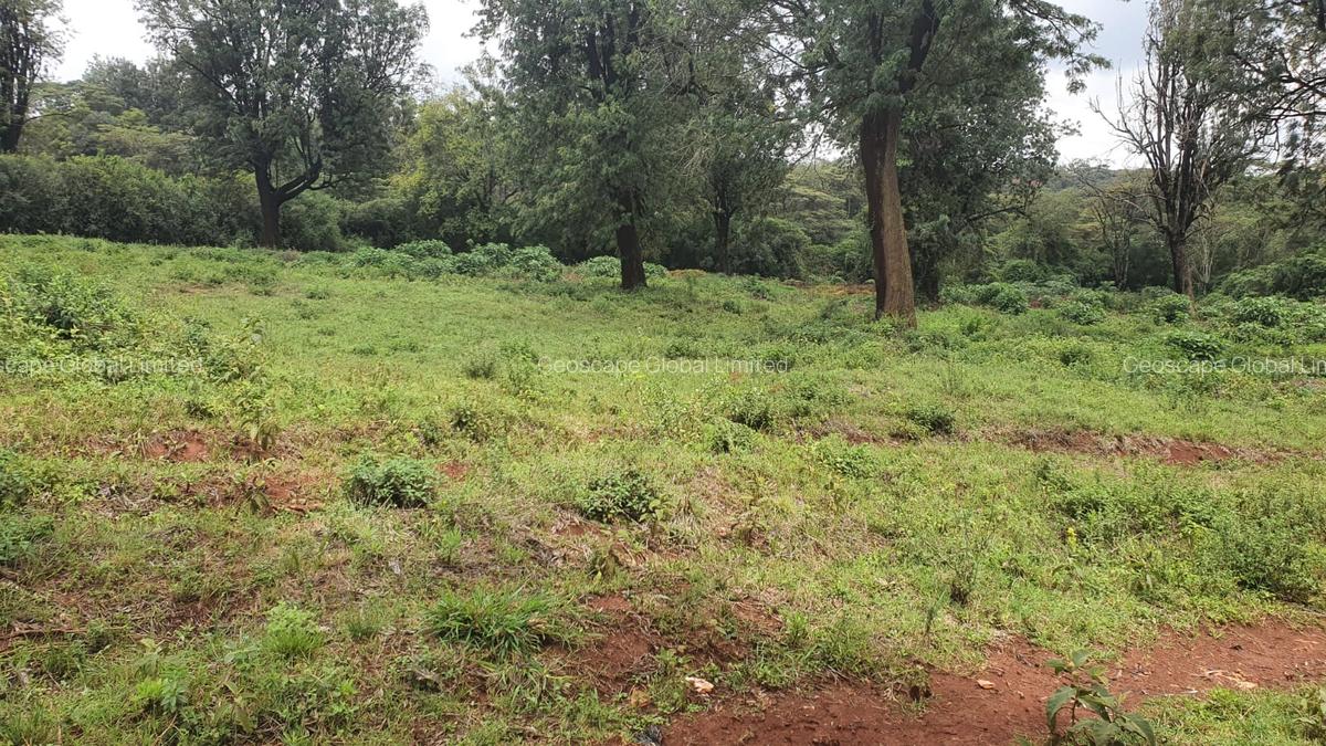 0.5 ac Land in Nyari - 1