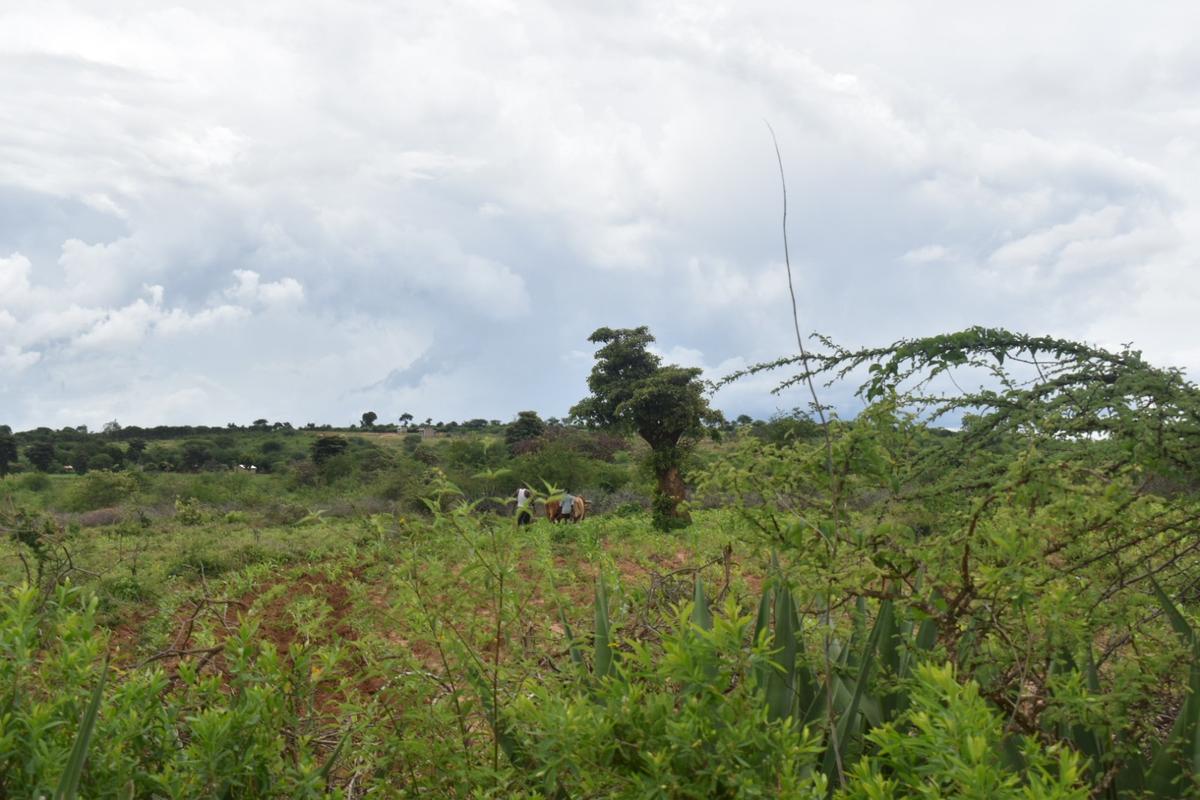 0.05 ha Land at Tumaini Estate - 7