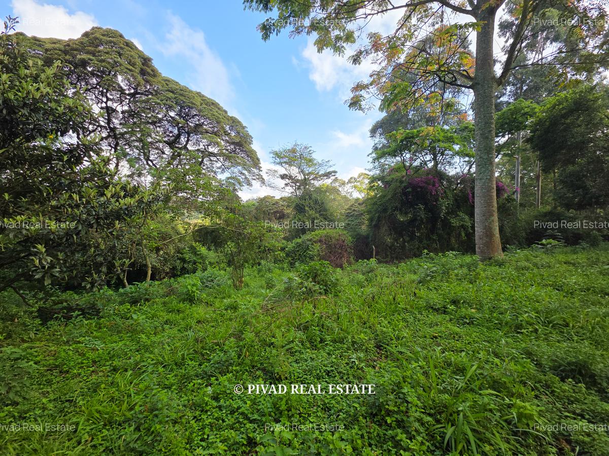 4.8 ac Land in Lower Kabete - 6