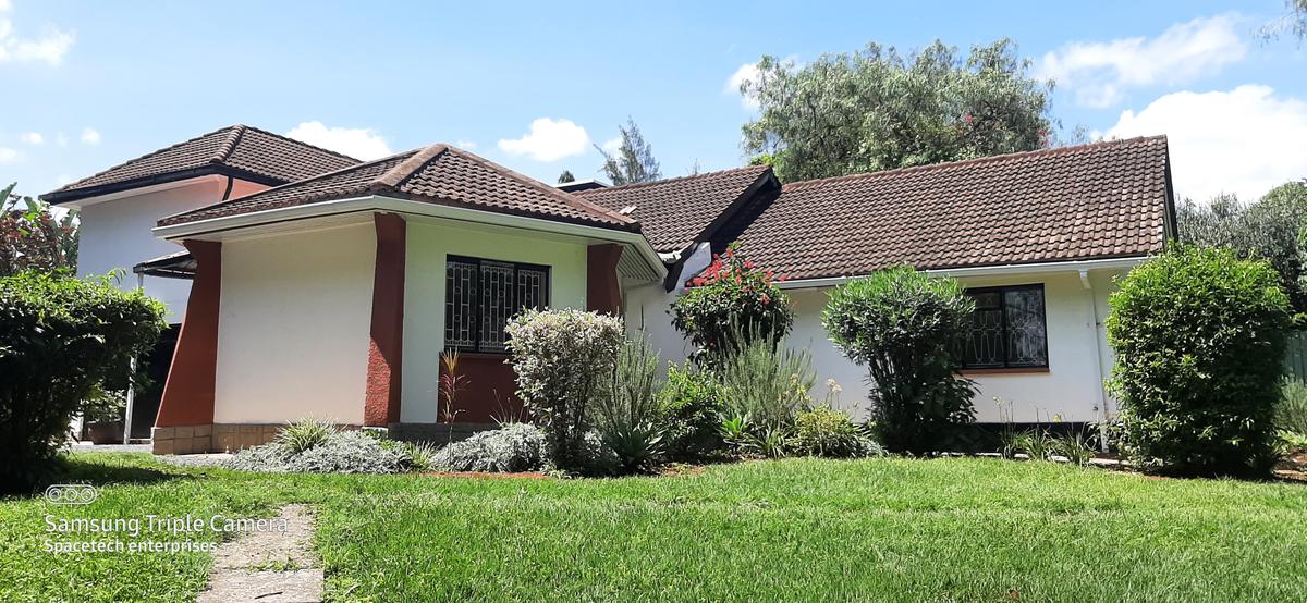 Commercial Property with Parking in Lavington - 2