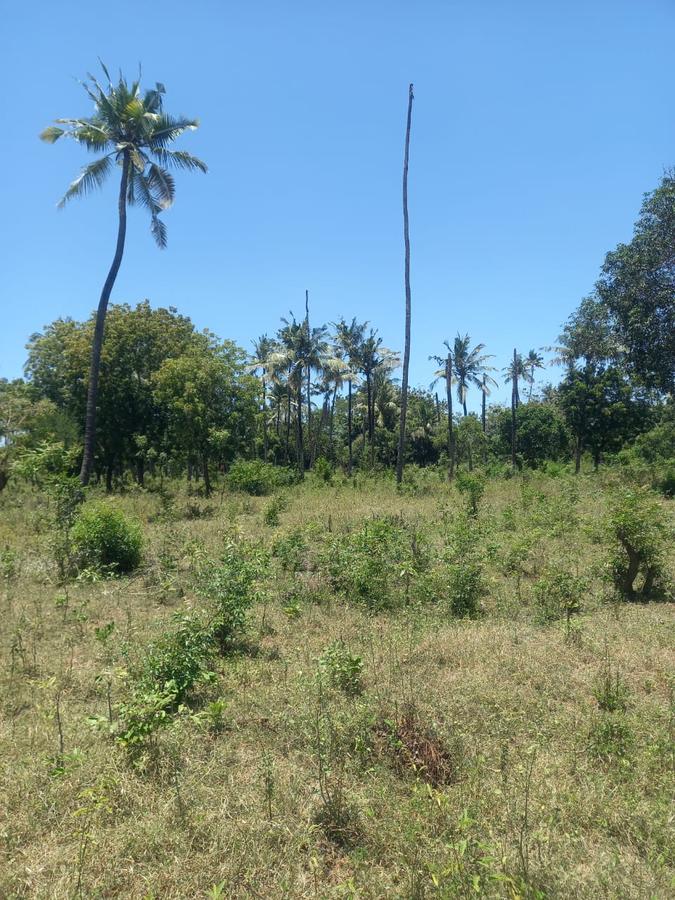 40 ac Residential Land in Kilifi - 5