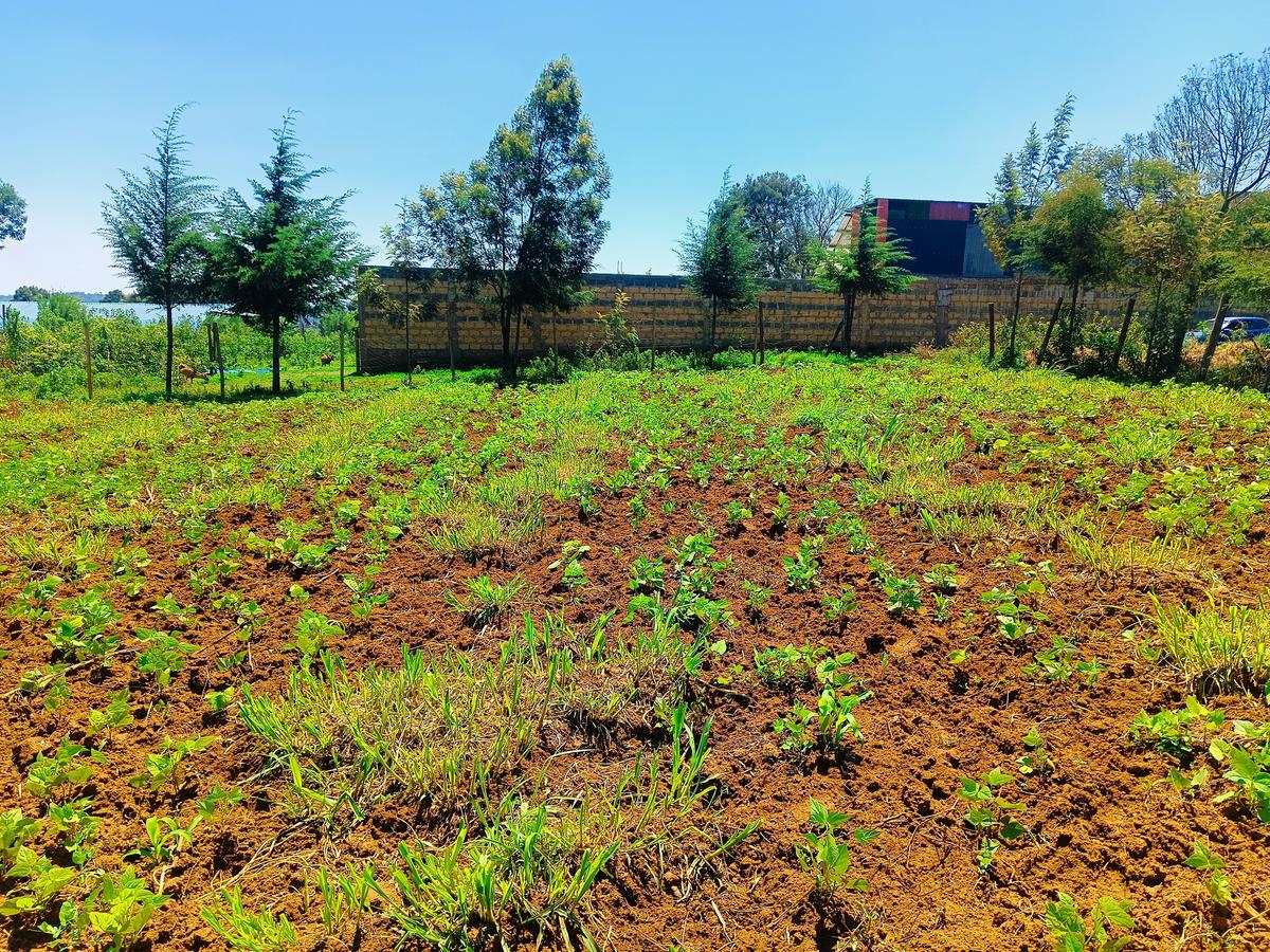 500 m² Residential Land at Runana Area - 4