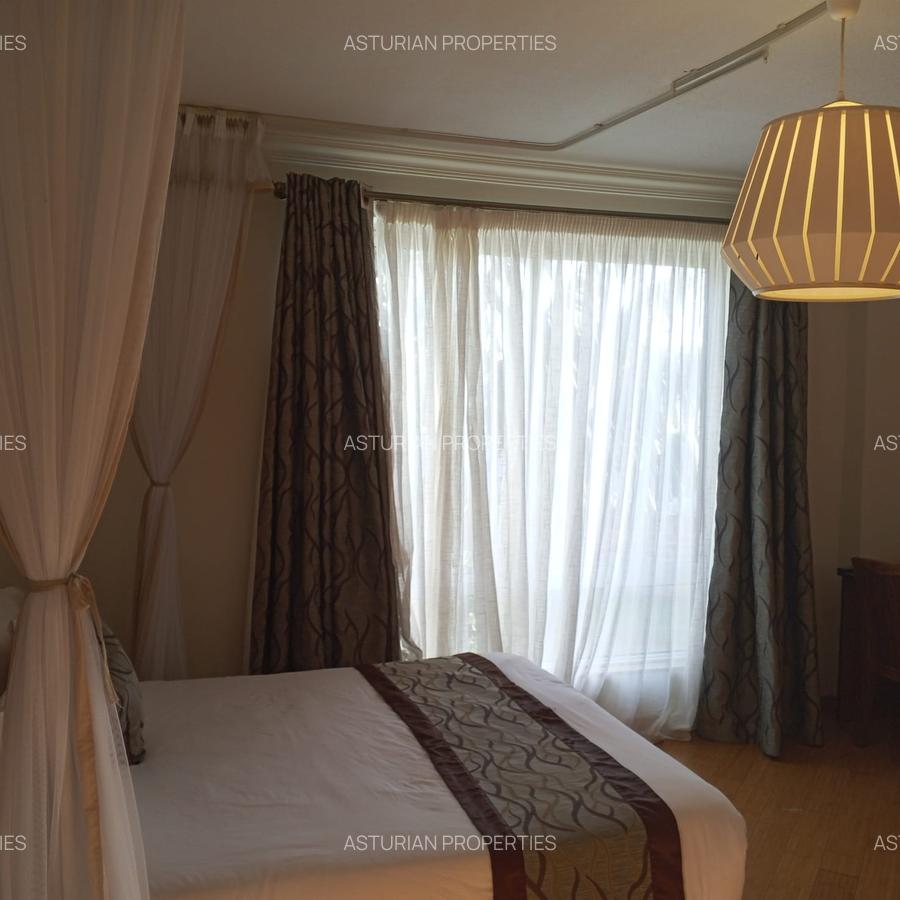 Furnished 1 Bed Apartment with En Suite in Kiambu Road - 12