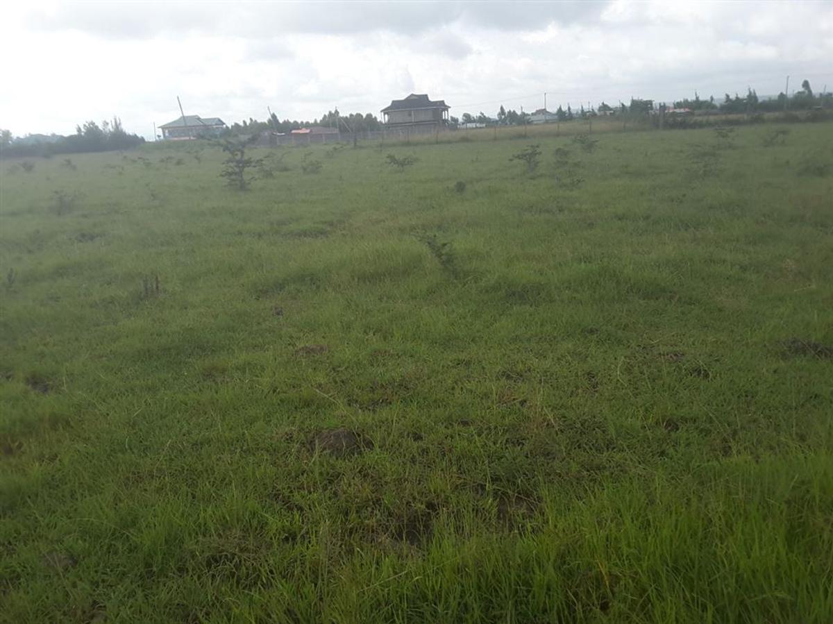 0.1 ac Residential Land in Ongata Rongai - 9