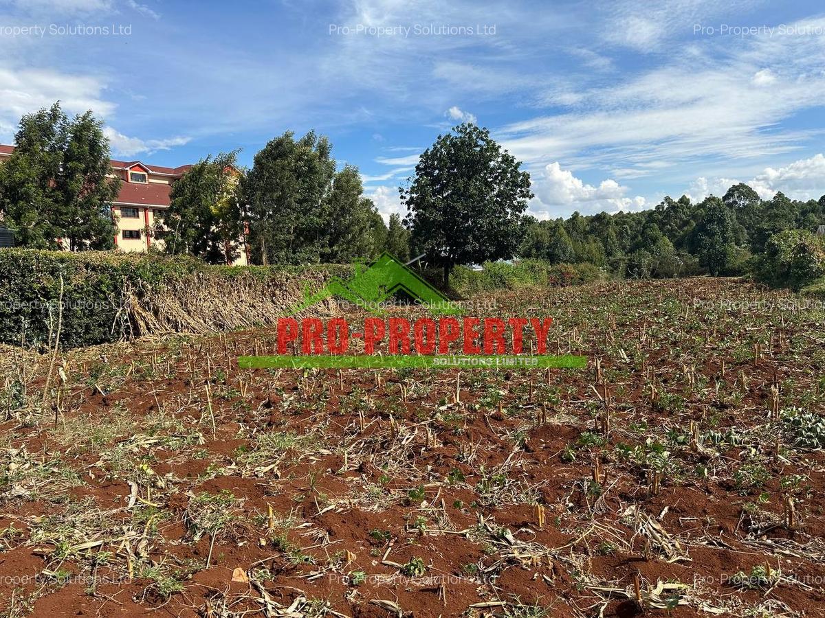 0.4 ha Land at Thogoto - 4