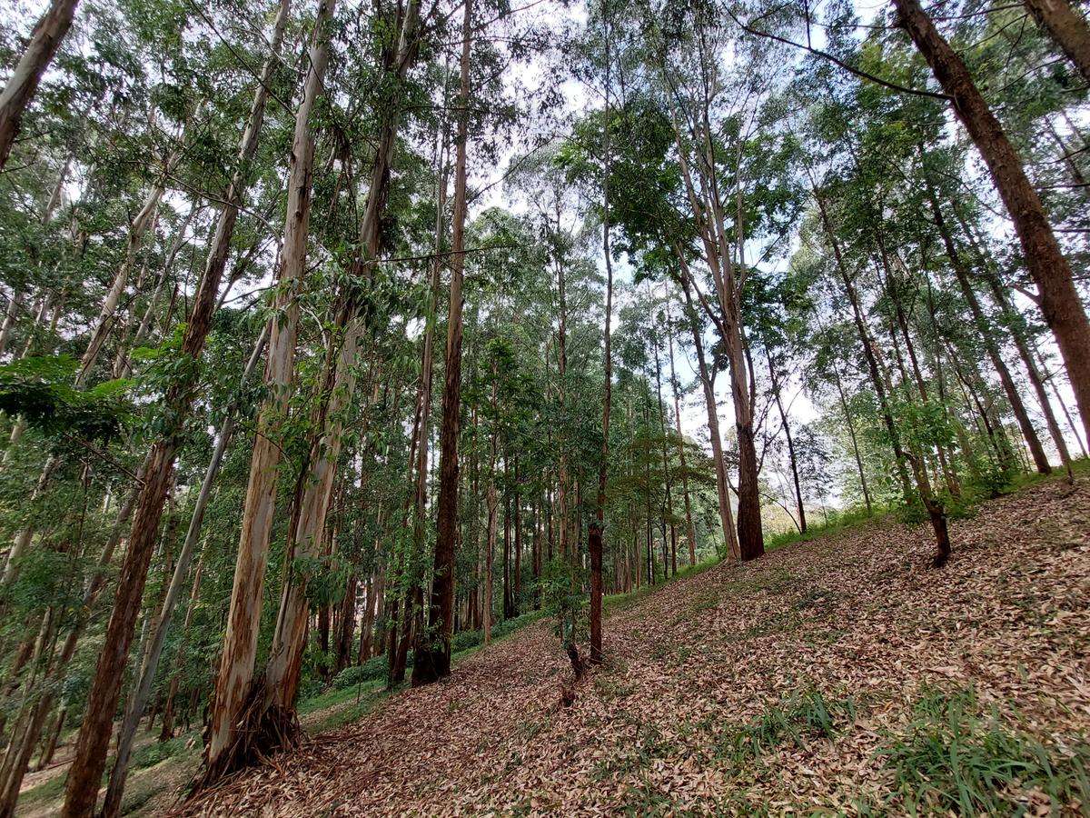 Residential Land at Rosslyn Redhill Road - 18