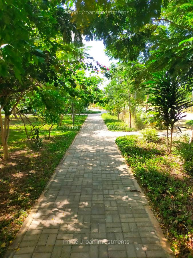 Serviced 1 Bed Apartment with En Suite in Vipingo - 13