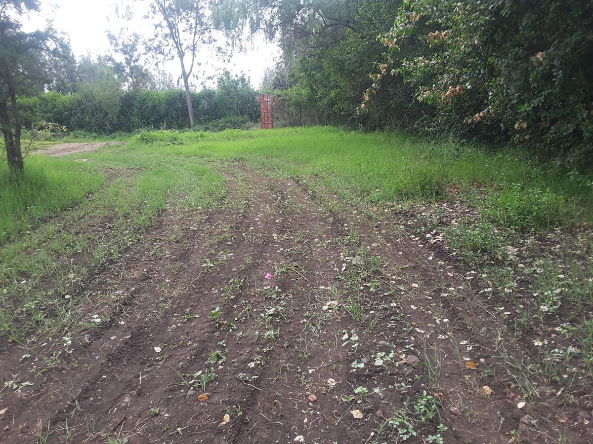 0.25 m² Land in Ongata Rongai - 5