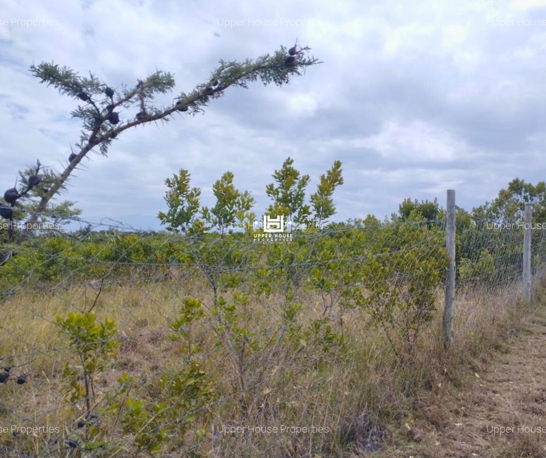 1 ac Land in Nanyuki - 4