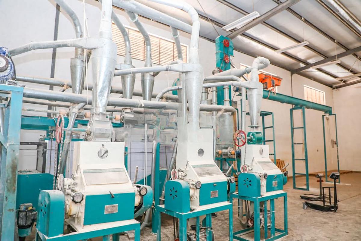 Commercial Property with Backup Generator at Lussingetti - 6