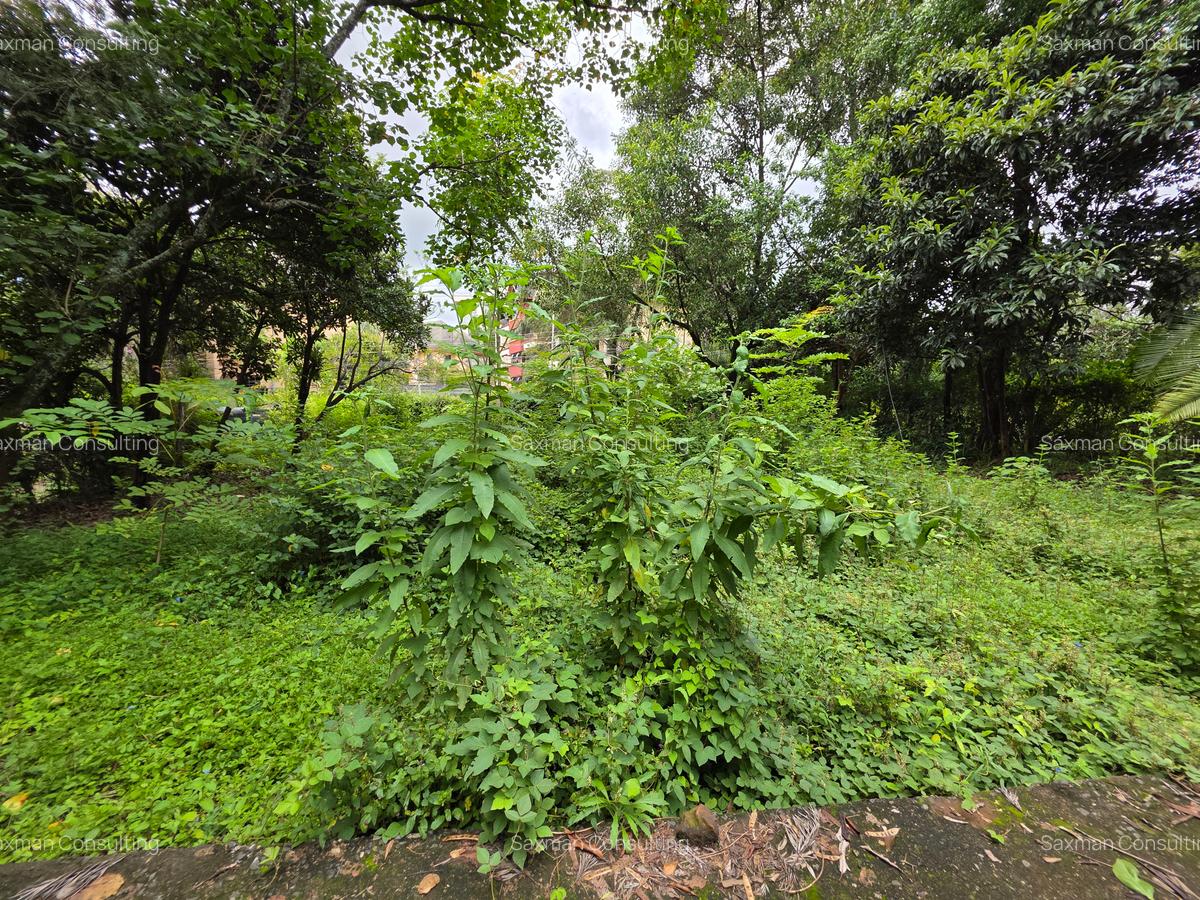 Commercial Land in Lavington - 7