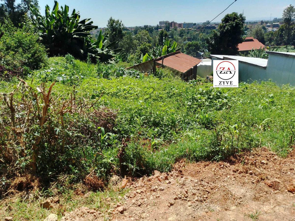 0.125 ac Land at Near Sacred Hearts Dispensary - 3