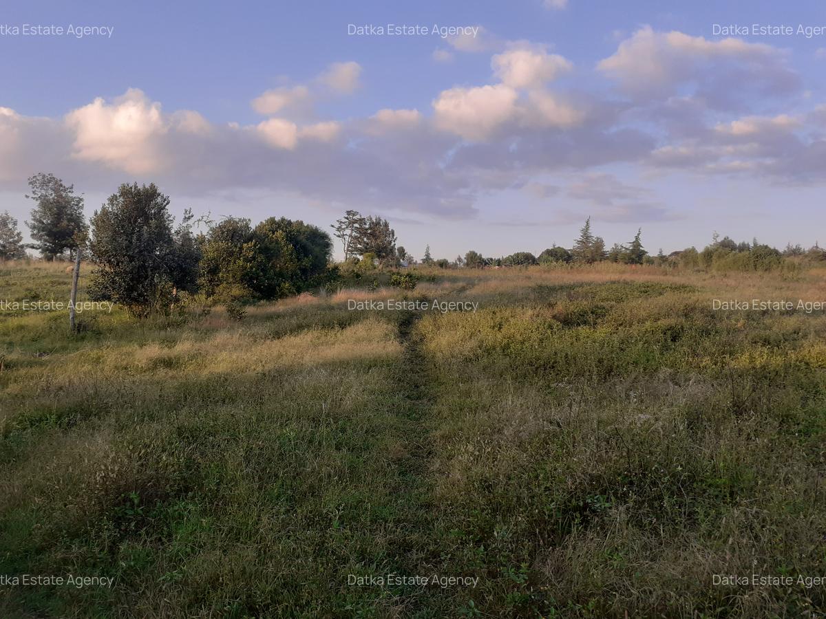 0.5 ac Residential Land in Nanyuki - 7