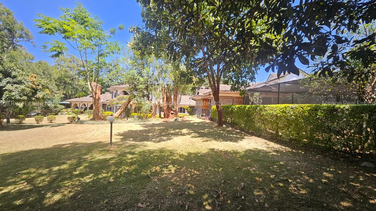 Commercial Property in Lavington - 11