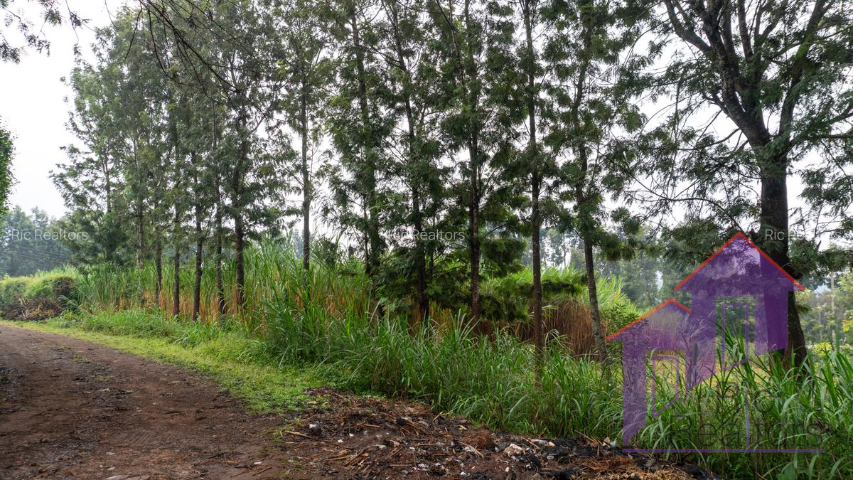 0.5 ac Land at Karen Road - 3