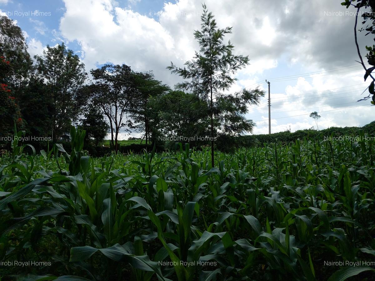 Land at Kirawa Road - 3