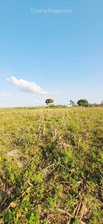 Land in Kilifi - 13