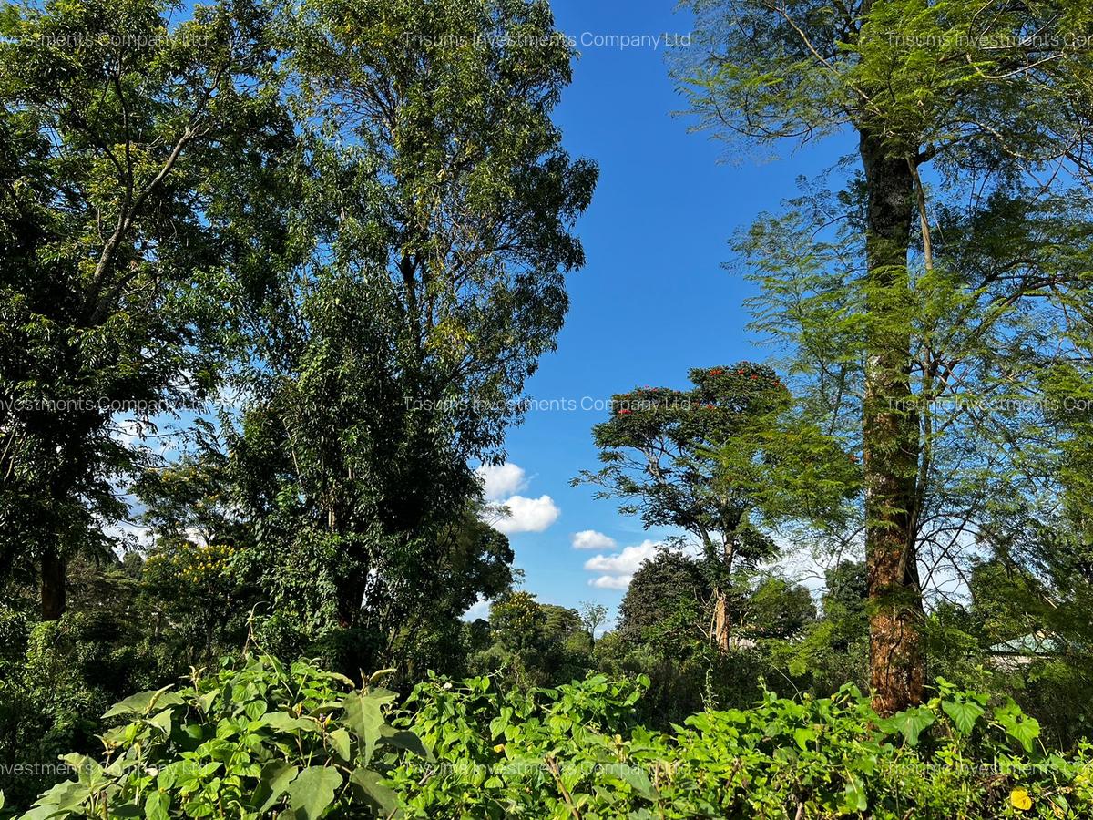 10 ac Land in Banana - 4