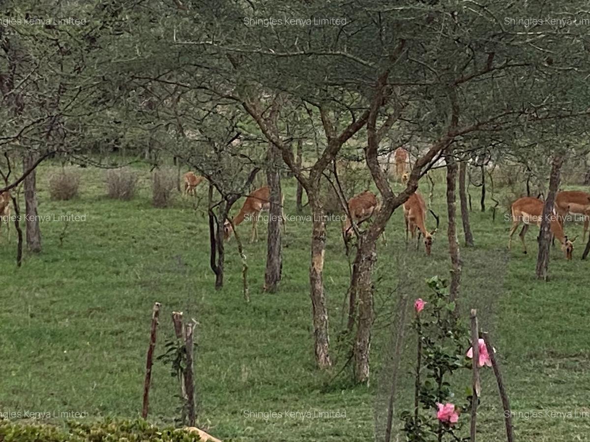 2 Bed House with En Suite at Mombasa Road - 4