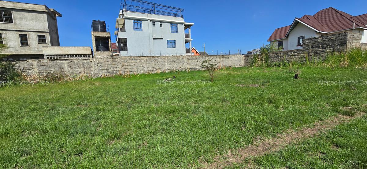 0.125 ac Residential Land at 2Nd Avenue - 6