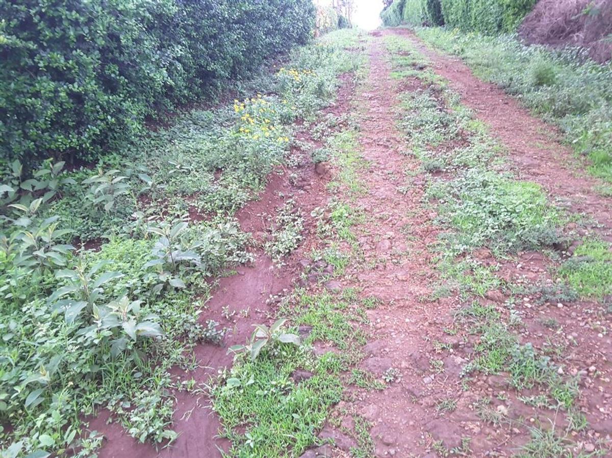 0.1 ha Residential Land in Ngong - 8