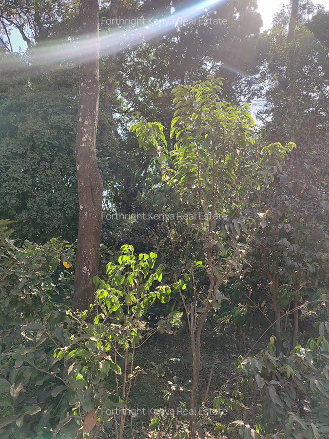 2.3 ac Land at Giraffe Centre - 19