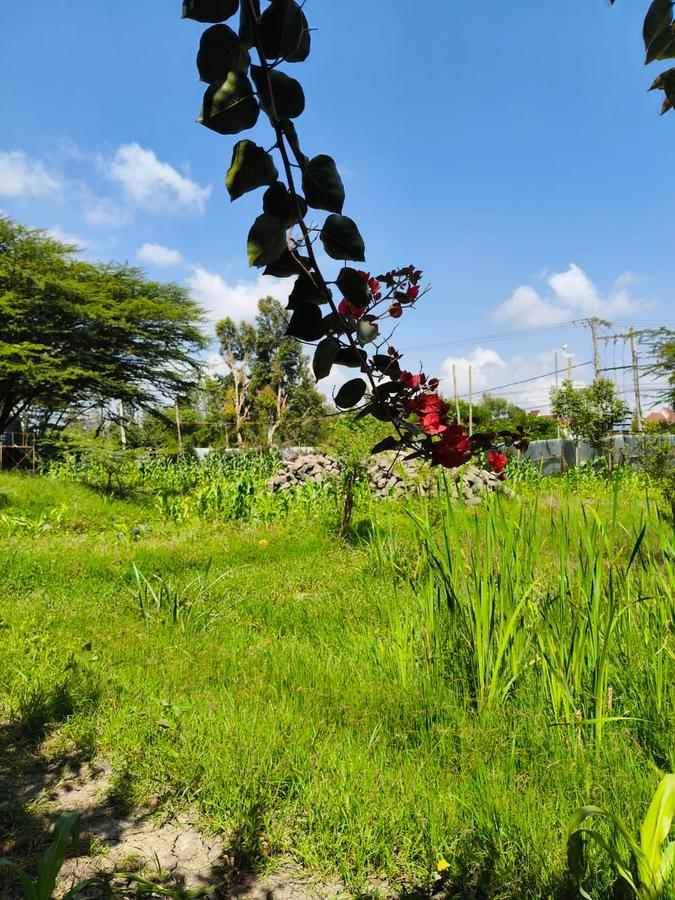 Residential Land at Karen - 7