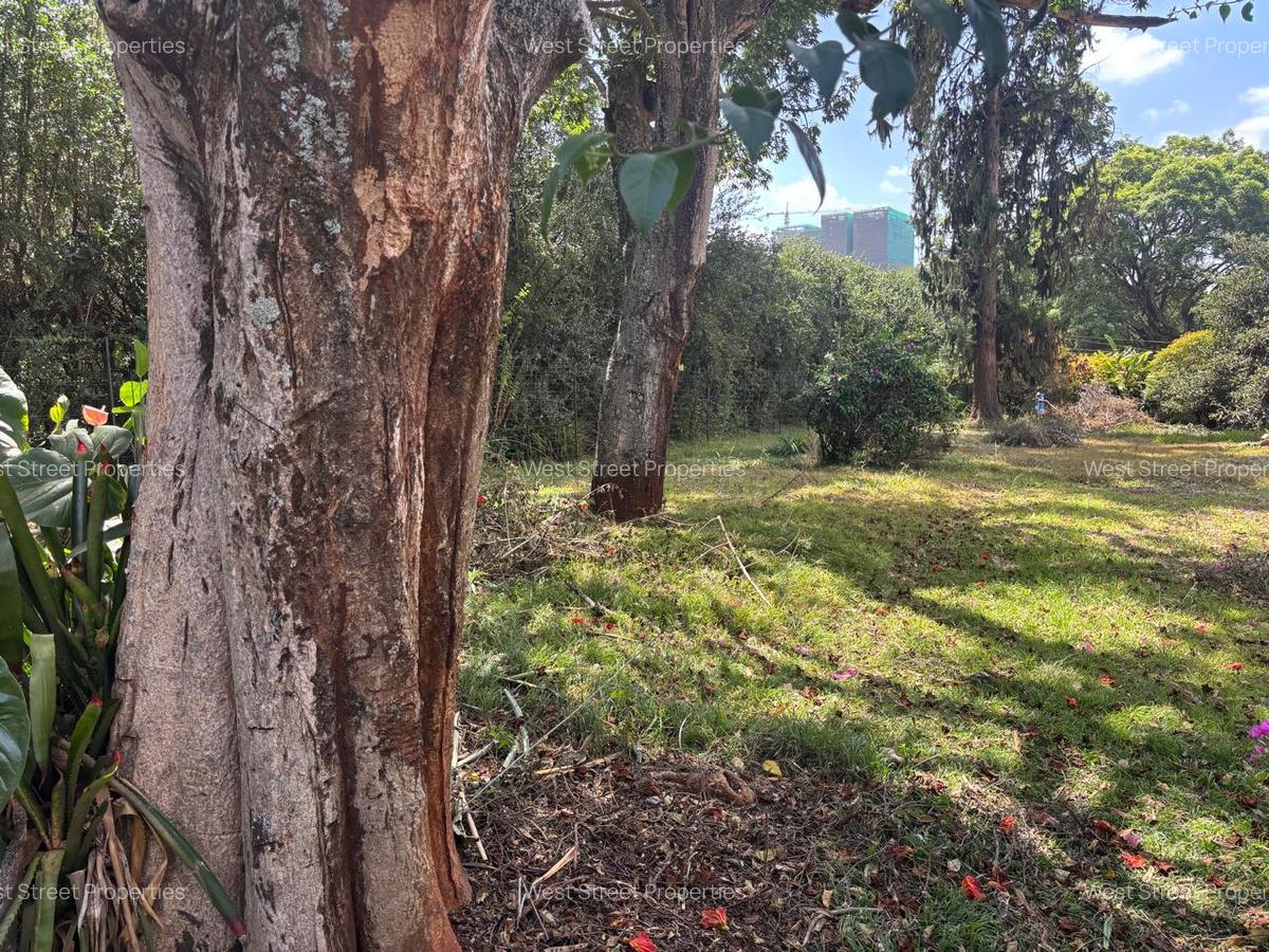 Land at Lavington - 3