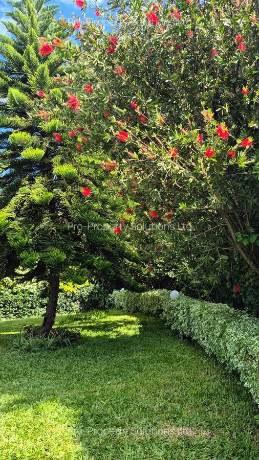 3 Bed House at Juanco - 19