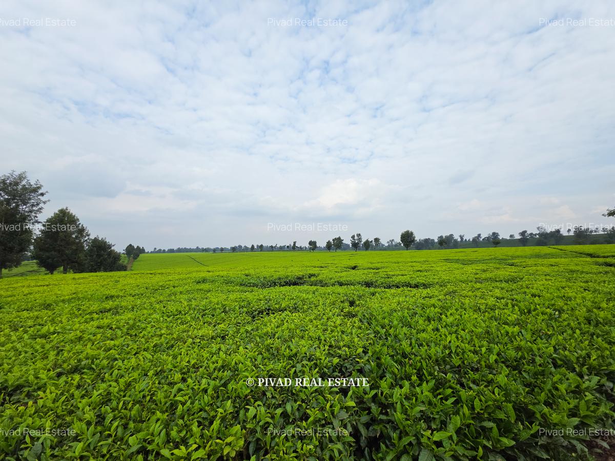 995 ac Land in Tigoni - 3