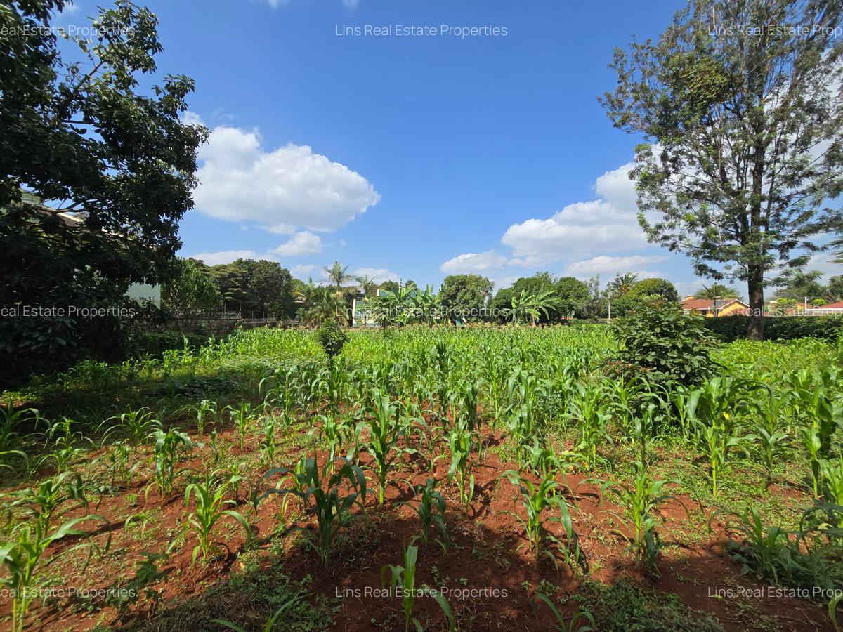 Residential Land in Runda - 5