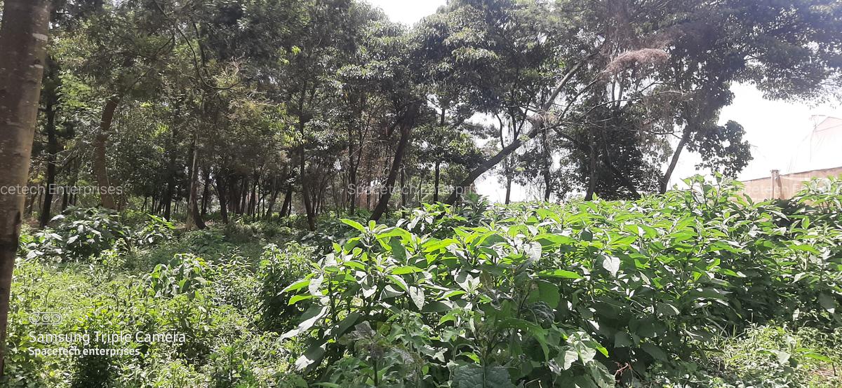 Land in Redhill - 15