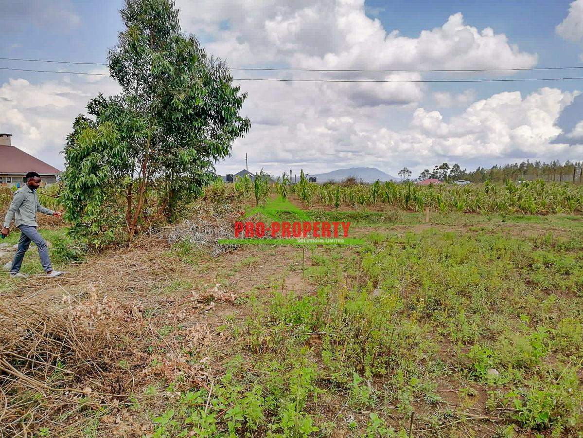 0.05 ha Residential Land at Kamangu - 7