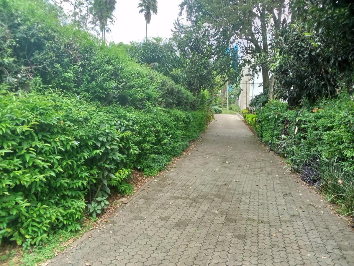 0.5 ac Office with Service Charge Included in Lavington - 18