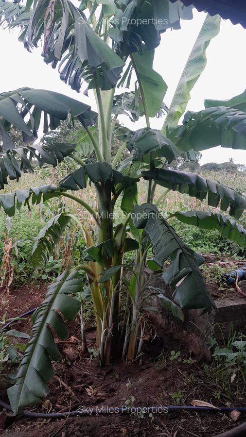 13 ac Land at Majaoni - 16