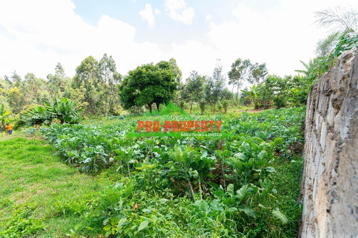 0.05 ha Commercial Land at Regen - 8