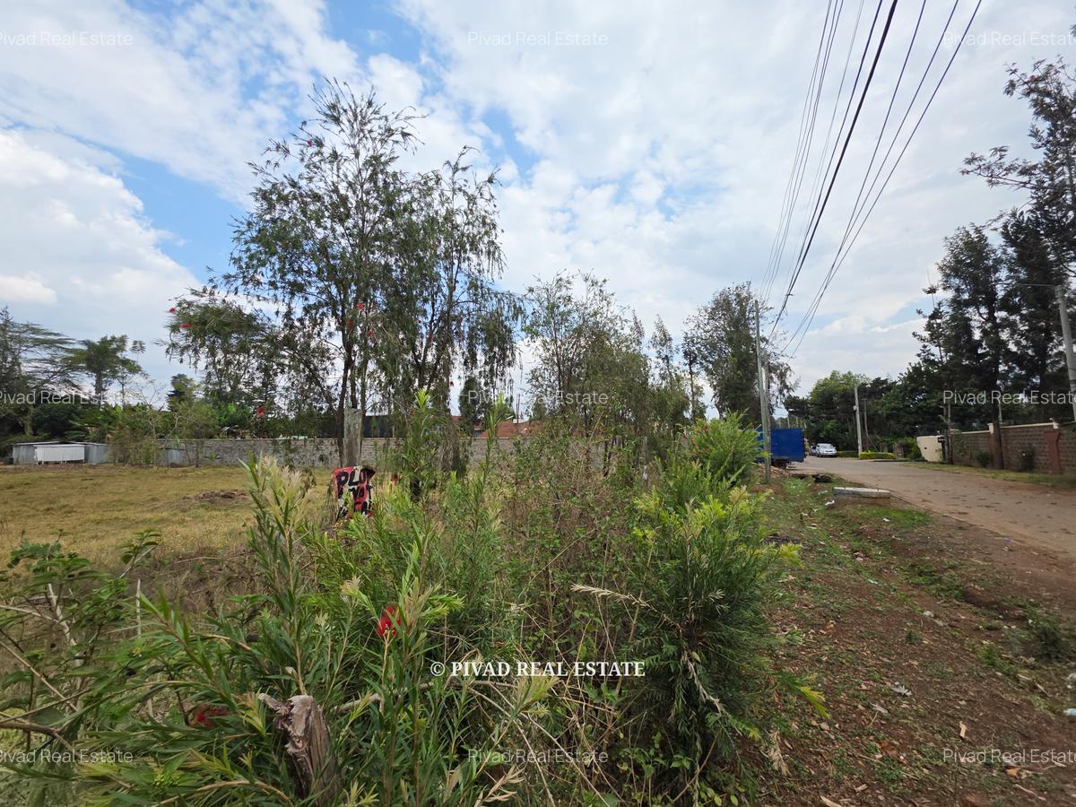 0.5 ac Land in Thome - 4