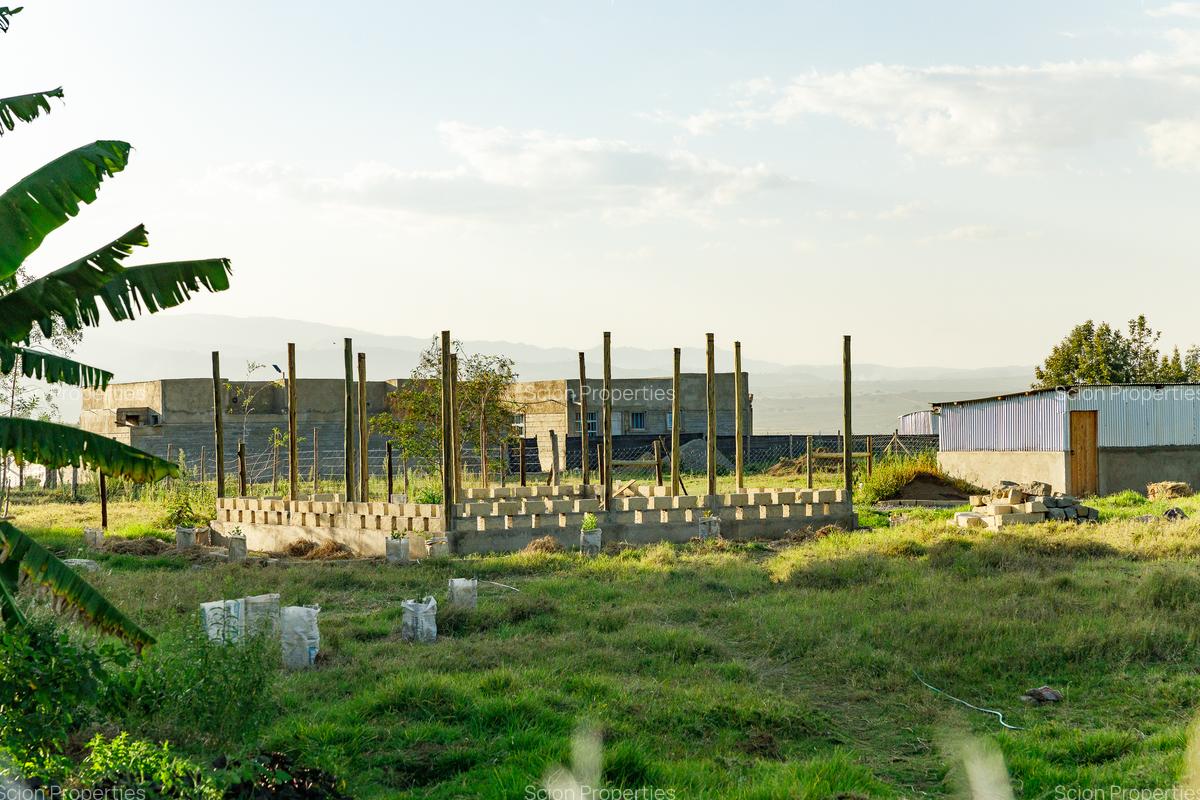 0.125 ac Residential Land in Naivasha - 1