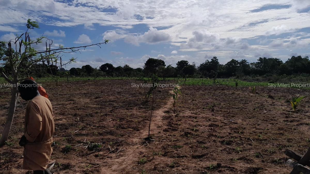 13 ac Land at Majaoni - 5