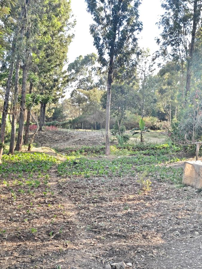 0.3 ac Land at Kabiria - 7