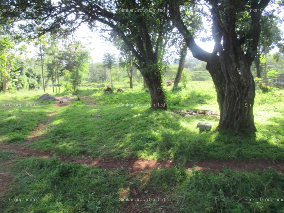 Residential Land at Ololua Ridge - 1