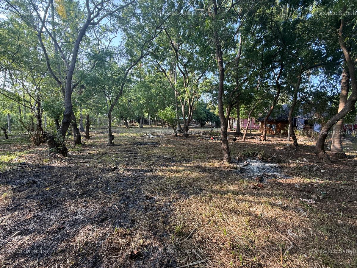 0.5 ac Land in Watamu - 7