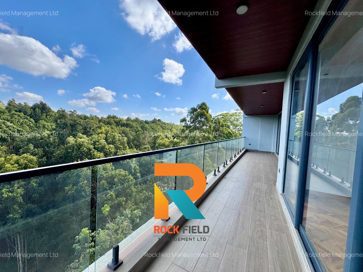 4 Bed Apartment with En Suite in Spring Valley - 2