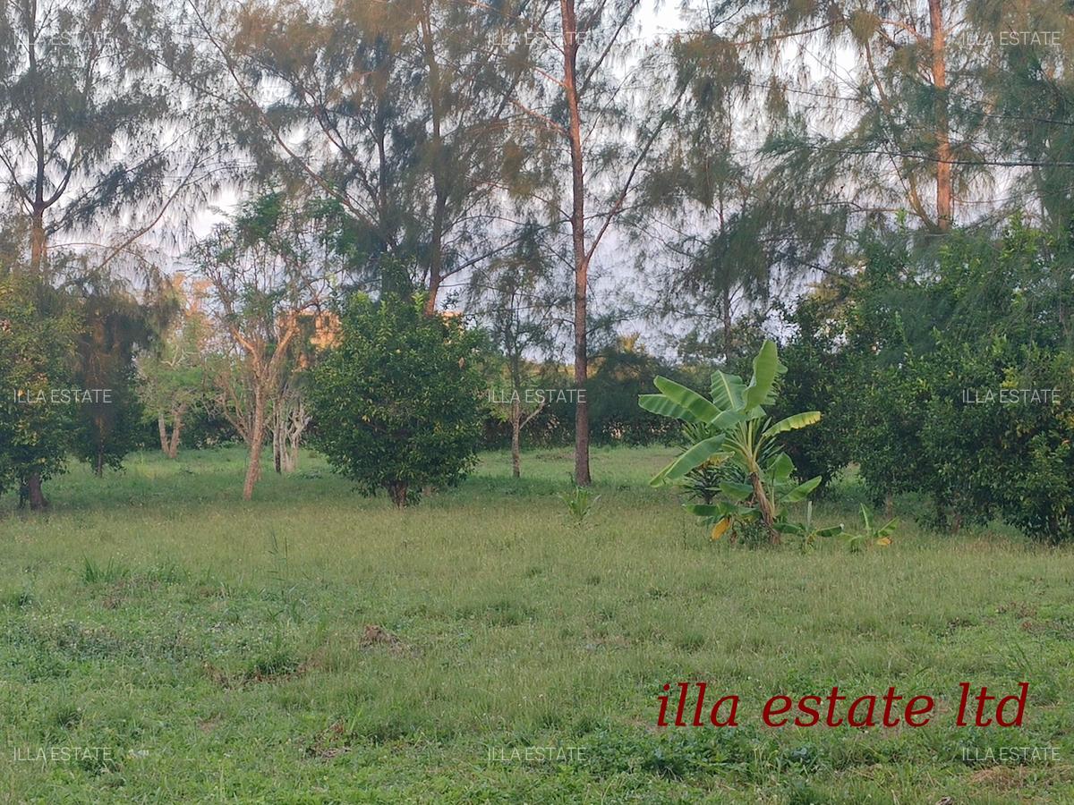 0.25 ac Residential Land at Diani Beach Road - 6