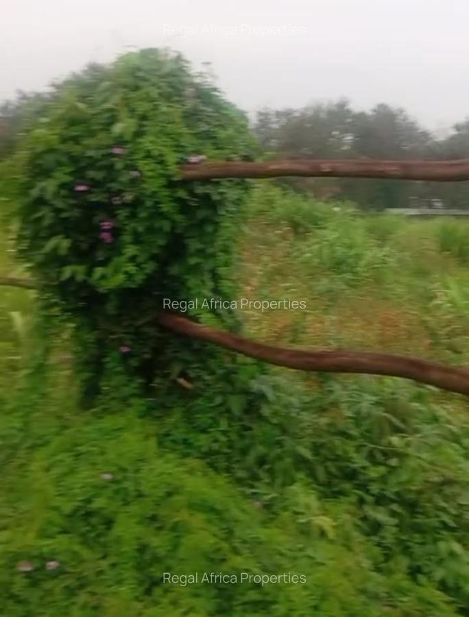 1.25 ac Land in Lavington - 2
