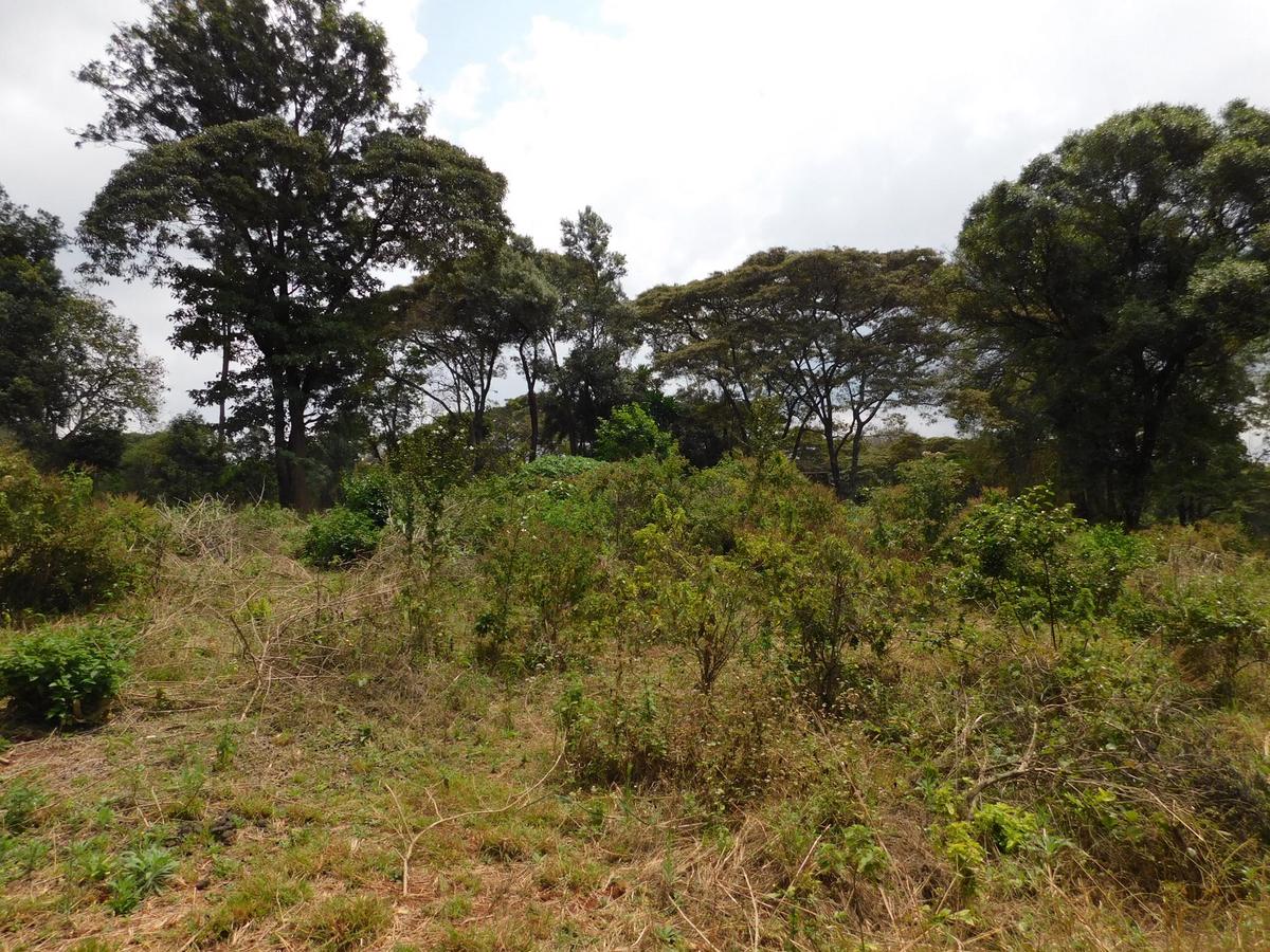 9 ac Land in Karen - 2