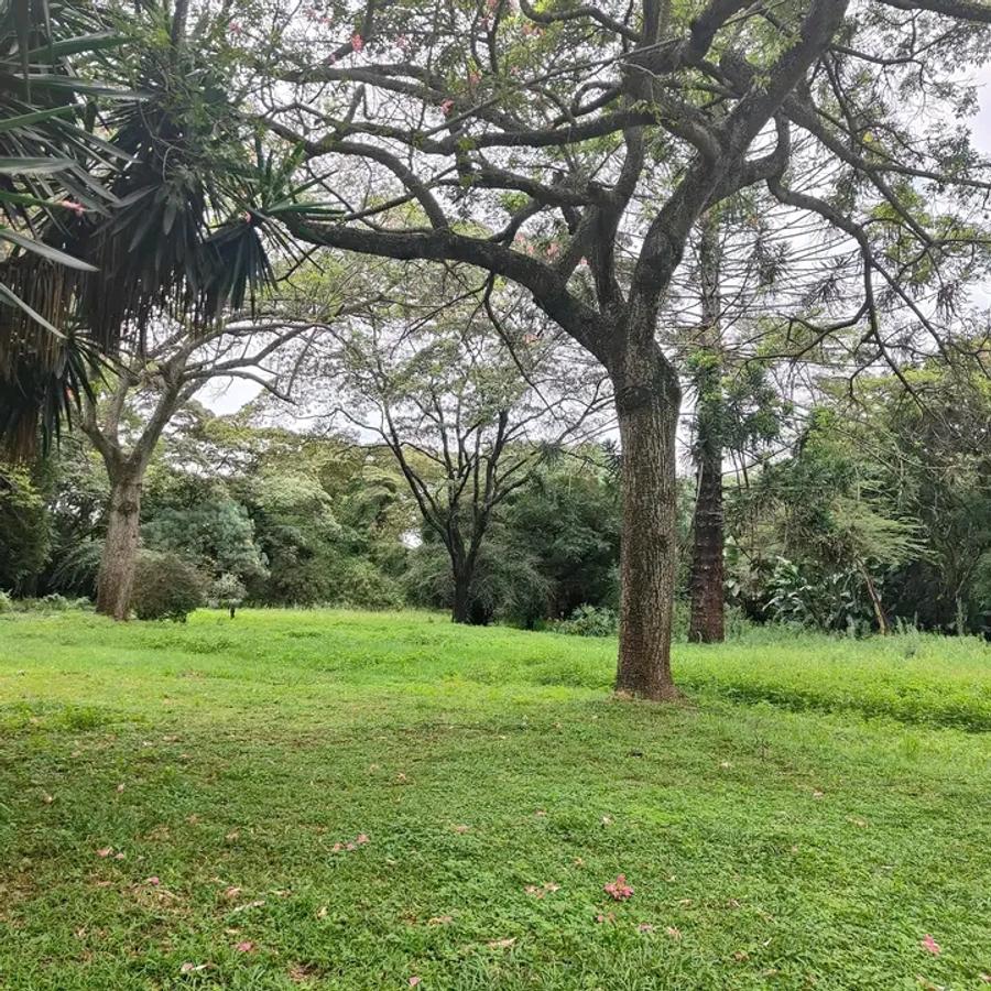 200 ac Land at Kilimani - 11