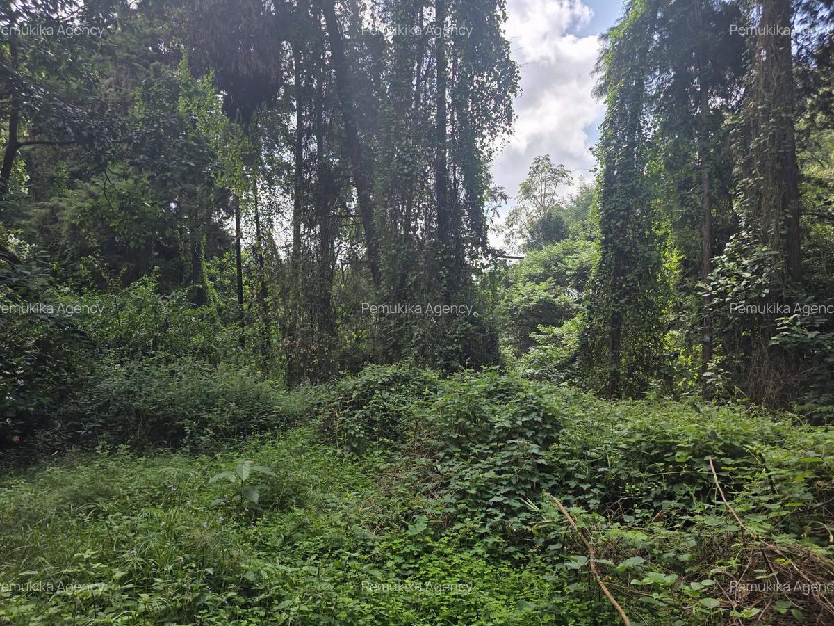 Residential Land in Kitisuru - 1